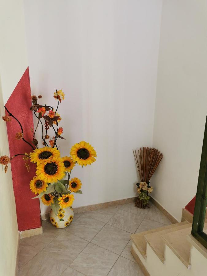Gigiotto Apartamento Syracuse Exterior foto